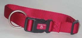 Adjustable Dog Collar - 3/4 in. x 16 to 22 in. - Raspberry