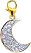 Moon, 14K Gold Diamond Charm