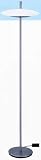 LAMPS BEAUTIFUL Saucer Contemporary Glass and Steel Floor Lamp by Litesource--Excellent customer service--see our feedback.