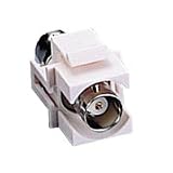 Cables To Go Snap-in Module - Modular insert - BNC - ivory - 1 port