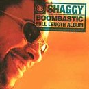 Boombastic [Vinyl LP] - Shaggy