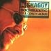 Shaggy-Boombastic [Vinyl]