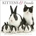 Kittens & Friends 2009 Wall Calendar