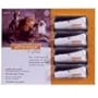 Advantage BLUE Over 55 lbs Dogs (4 Month Supply)