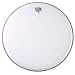 Musical Instruments : 13" Coated Diplomat Drum Head