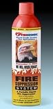 Fire Extinguisher- Home, Car & Boat Rated for Insurance Discounts
