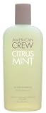 American Crew Citrus Mint Active Shampoo