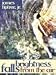 Books : Brightness Falls From the Air