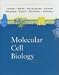 Books : Molecular Cell Biology