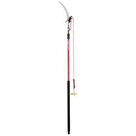 Click here to buy Corona Clipper 12-Foot Compound Action Tree Pruner #TP 3841 by Corona Clipper.