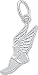 Jewelry : Winged Shoe Charm by Rembrandt Charms