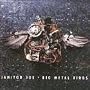 Big Metal Birds