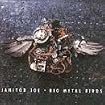 Big Metal Birds
