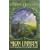 The Limbreth Gate (The Ki & Vandien quartet)
