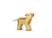 Calf Brown - newborn