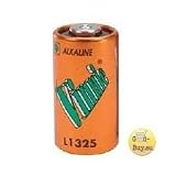 Gentle Spray Replacement Battery 2-Pack