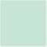 Cashmere Pashmina Baby Blanket (Pistachio)-soft and luxurious in 4 baby colors (Pistachio)