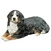 Sandicast Bernese Mountain Dog Original Size Figurine