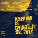 CD-Charts  Search : America is Dying Slowly [VINYL]