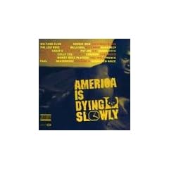 America Is Dying Slowly