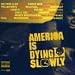 Music Tracks : America is Dying Slowly [VINYL]