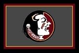 Florida State Seminoles 3' x 5' Small Top View Area Rug
