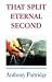That Split Eternal Second