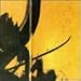 Bogdan Raczynski, Samurai Math Beats, 発売中
