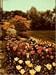 Book New Illustrated Encyclopedia of Gardening (Pro-Root, Volume 10)