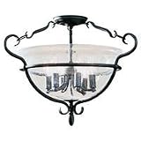 Ceiling Fixtures Sea Gull Lighting 7700