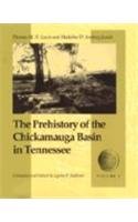 The Prehistory of the Vol. 1