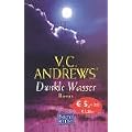 Dunkle Wasser: Roman