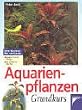 Aquarienpflanzen Grundkurs