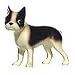 boston terrier - Hagen-Renaker - Boston Terrier