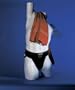 Adult Athletic Supporter Without Pocket - Available in 7 Colors