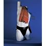 Adult Athletic Supporter Without Pocket - Available in 7 Colors