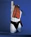 Adult Athletic Supporter Without Pocket - Available in 7 Colors