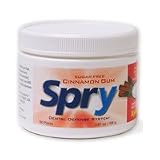 Xlear - Spry Sugar Free Gum Cinnamon, 100 gum