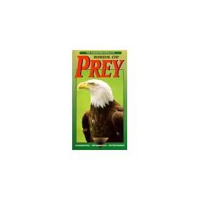 Fascinating World of Birds of Prey [VHS]