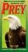 Fascinating World of Birds of Prey
