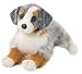 Plush Sinclair Austrailian Shepherd 16