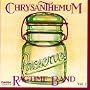 Chrysanthemum Ragtime Band 1