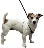 Four Paws No-Pull Trainer