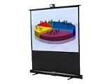 50IN Diagonal Manual Pull Up White 4:3 Projection Screen