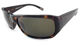 Hugo Boss Sunglasses - BOSS0011/S / Frame: Dark Tortoise Lens: Green