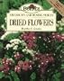Dried Flowers (Burpee American Gardening Series)