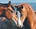 Tenderness , Wall Poster, 16x20