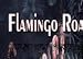 FLAMINGO ROAD FULL TV SERIES NEW DVD SET