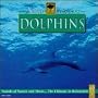 Nature Whispers: Dolphins