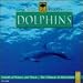 Nature Whispers: Dolphins